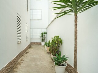 Casa de vacaciones Conil de la Frontera Grabación al aire libre 2