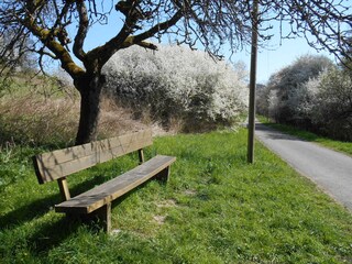 Appartamento per vacanze Mandelbachtal Ambiente 17