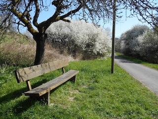 Vakantieappartement Mandelbachtal Omgeving 15