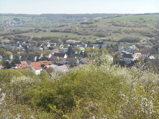 Blick auf Wittersheim