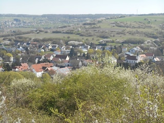 Vakantieappartement Mandelbachtal Omgeving 16