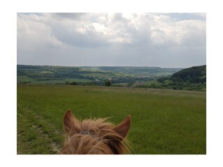 Bliesgau zu Pferd