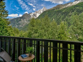 Apartment Chamonix Outdoor Recording 3