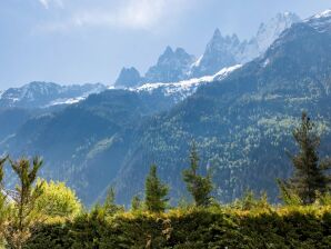 Élégant appartement avec terrasse, Chamonix