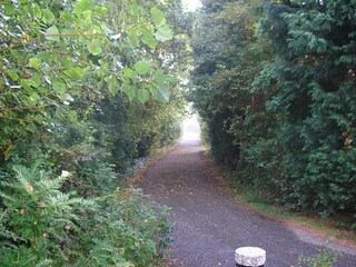 Bungalow Renesse Ambiente 18