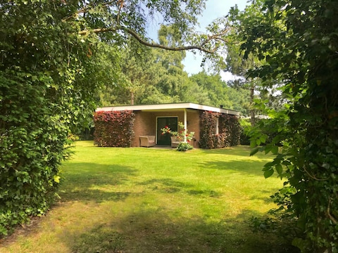 Bungalow Zilverberk
