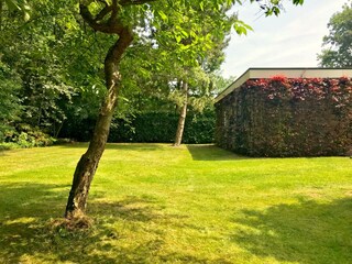 Bungalow Renesse Registrazione all'aperto 2