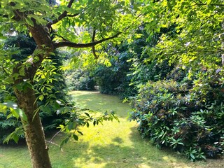 Bungalow Renesse Registrazione all'aperto 3