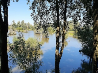 Cottage Scherpenzeel Environment 30