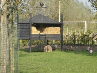 Casa de campo Scherpenzeel  39