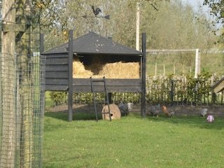 Cottage Scherpenzeel  39