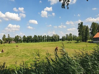 Casa de campo Scherpenzeel Entorno 29