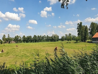 Cottage Scherpenzeel Environment 32