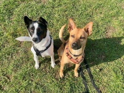 Firma BuKa Immobiliengesellschaft eGbR -  Familie Butt & Familie Kartheuser