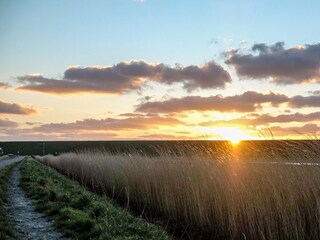 Ferienhaus Julianadorp Umgebung 21