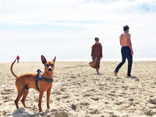 Ferienhaus Julianadorp Umgebung 24