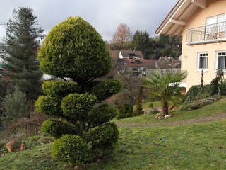 Ferienwohnung Gorxheimertal, Gartenblick