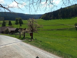 Hennrich-Blick ins Grüne