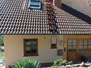 Fewo Fleckenstein-Hausansicht