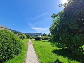 Haus im Grünen-Gartenblick