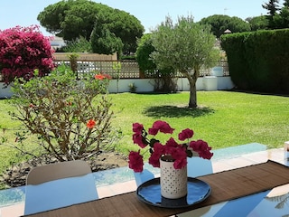 Garten Eingangsbereich