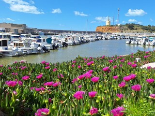Im Fischerhafen von Conil