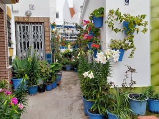 Im malerischen Fischerviertel von Conil