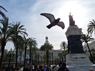 Kultur und Geschichte im eleganten Cádiz