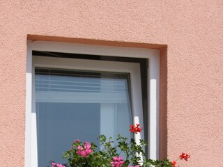 Apartment Stara Novalja  8