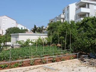Ferienzimmer Stara Novalja  10