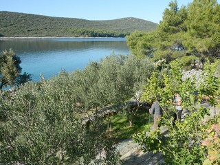 Holiday house Tkon  5