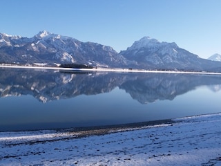 Forggensee