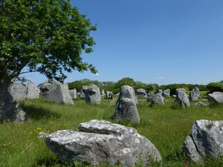 Holiday house Ambon Environment 21