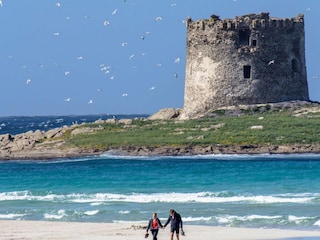 Parco vacanze Stintino  28