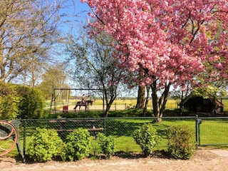 Casa per le vacanze Donkerbroek Ambiente 30