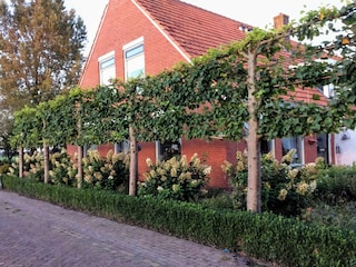 Holiday house Donkerbroek Environment 31