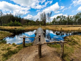 Vakantiehuis Donkerbroek Omgeving 32