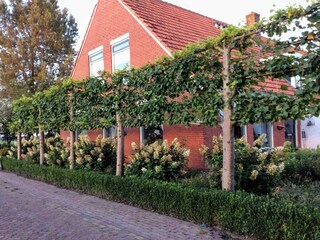 Ferienhaus Donkerbroek Umgebung 35