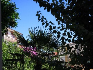 Apartment Podgora  4