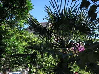 Apartment Podgora  5