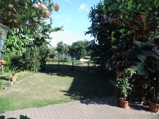 Blick in den Garten