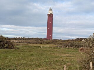 Ferienhaus Ouddorp Umgebung 25