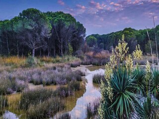 Appartamento Duna Verde Ambiente 22