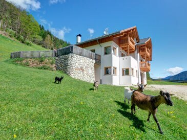 Holiday apartment Dolomiten