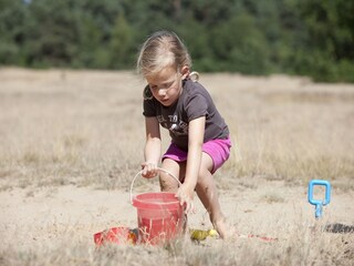 Vakantiepark Kootwijk Omgeving 13