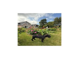 Villa Groet Outdoor Recording 12