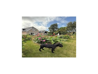 Villa Groet Outdoor Recording 10