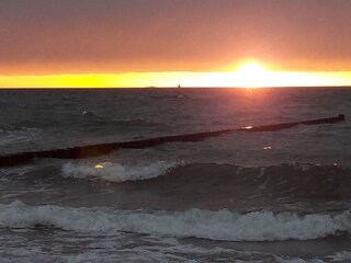 Holiday apartment Gelbensande Environment 24