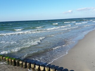 Holiday apartment Gelbensande Environment 26