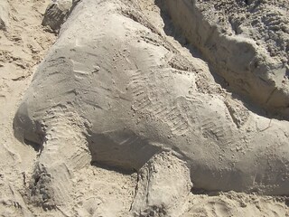 Holiday apartment Gelbensande Environment 31